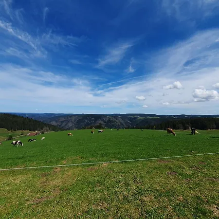 Frühstückspension Haus Schanzenblick Gästezimmer8 Für 3 Personen Mit Bad Und Terrasse Schonach im Schwarzwald